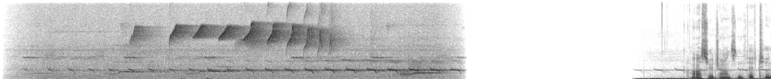 Ерміт прямодзьобий - ML175916701
