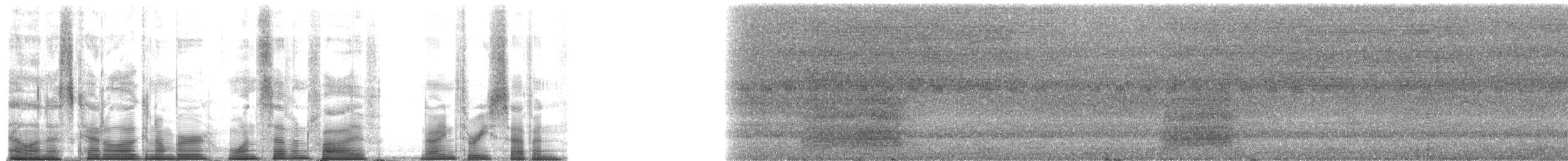 špaček bělokrký - ML175937