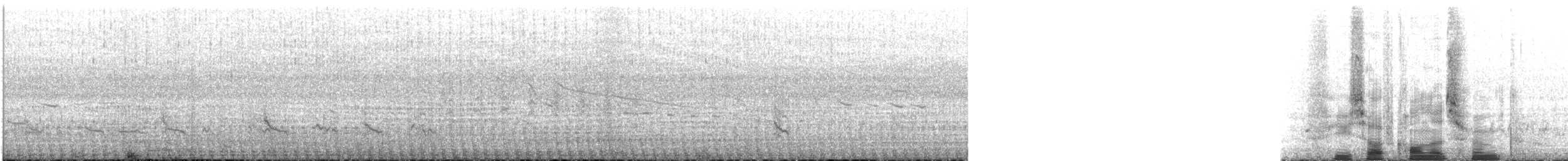 Stilt Sandpiper - ML175939961