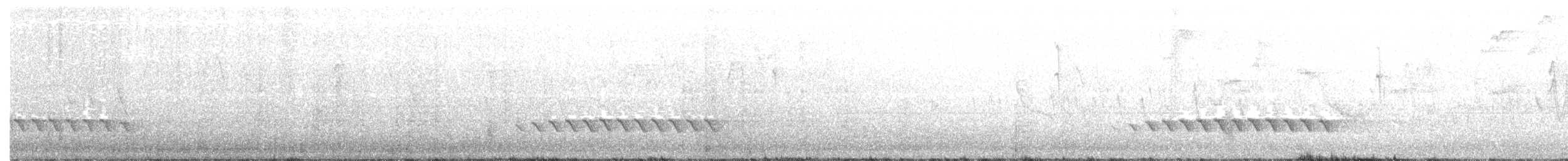 White-headed Barbet - ML175951181