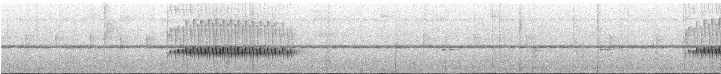 Schwarzgesicht-Ameisenvogel - ML175981301