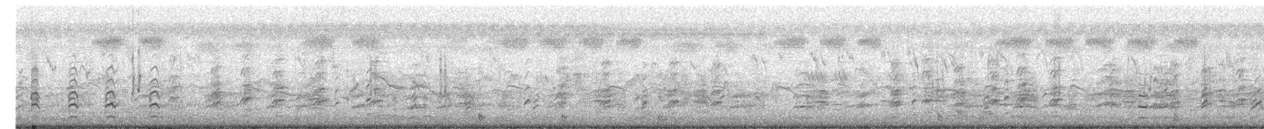 Острохвостая муния - ML175987211