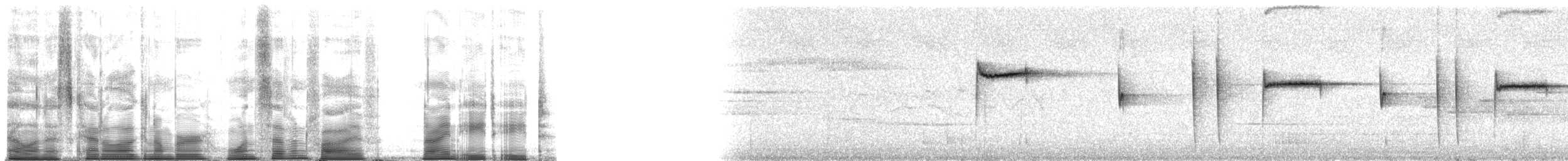 Pygmy Cupwing - ML175988