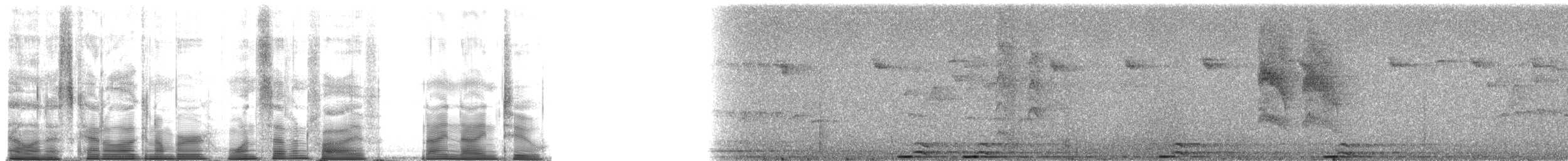 Зондская расписная пеночка - ML175992