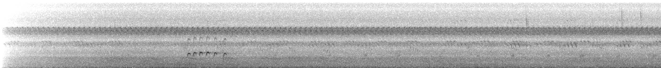 Whimbrel (Hudsonian) - ML175998301