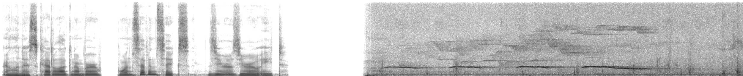 Красноклювая лесная куропатка - ML176008