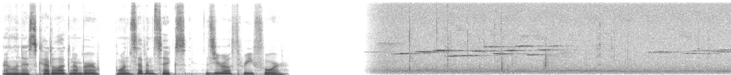 Зондская расписная пеночка - ML176034