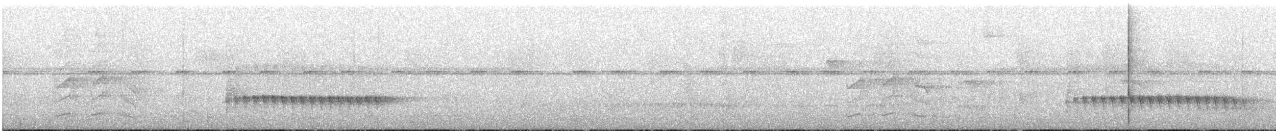 Microbate à long bec (groupe melanurus) - ML176068581