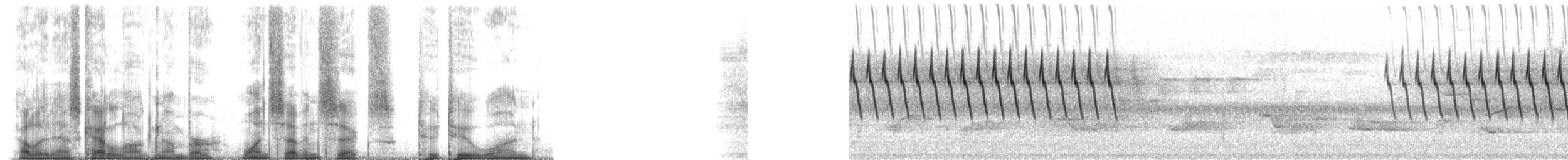 Cırcır Sesli Serçe - ML176221