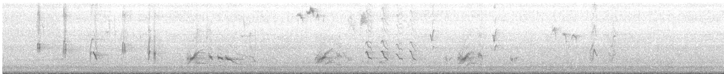 California Thrasher - ML176222291