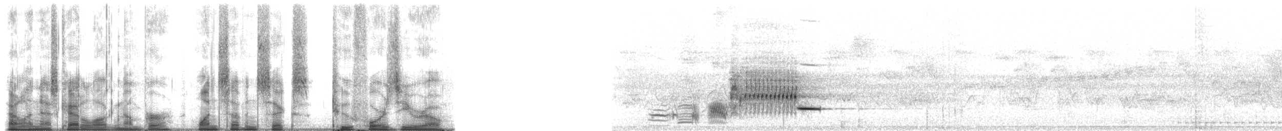 Sargento Alirrojo (grupo phoeniceus) - ML176240