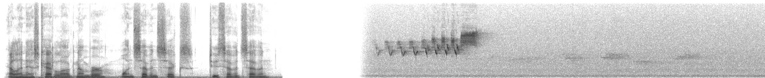Paruline azurée - ML176277