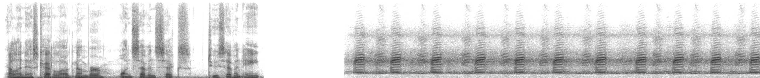 Rainette d'Amérique du Nord - ML176278