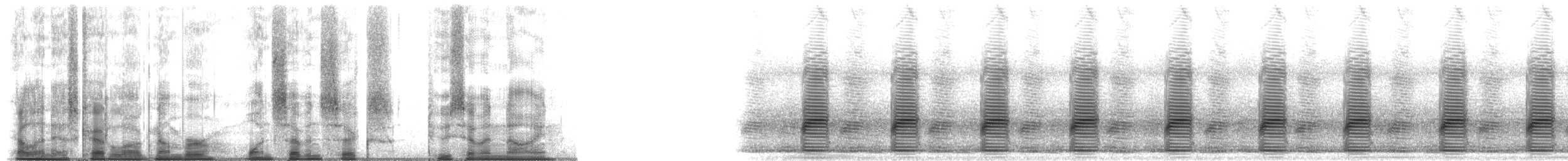 Rainette d'Amérique du Nord - ML176279