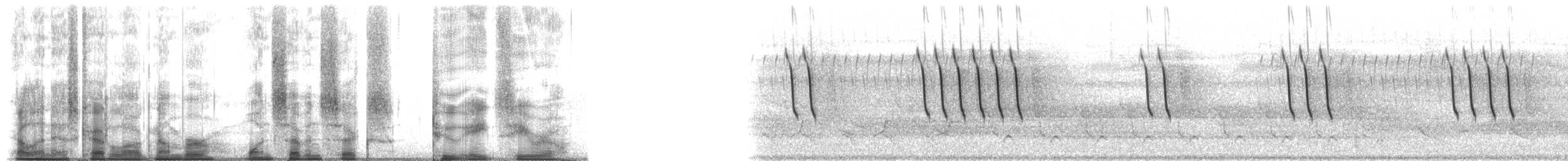 Bruant familier - ML176280