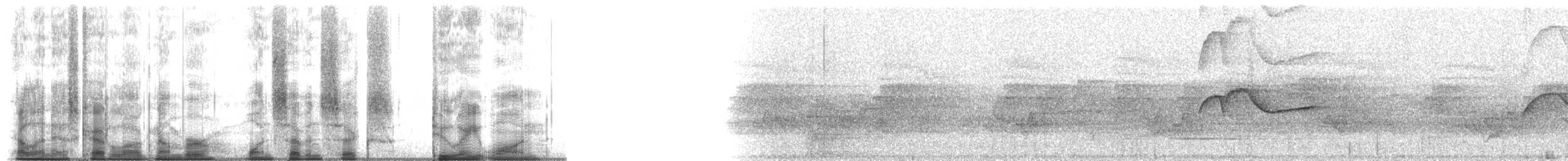 Pioui de l'Est - ML176281