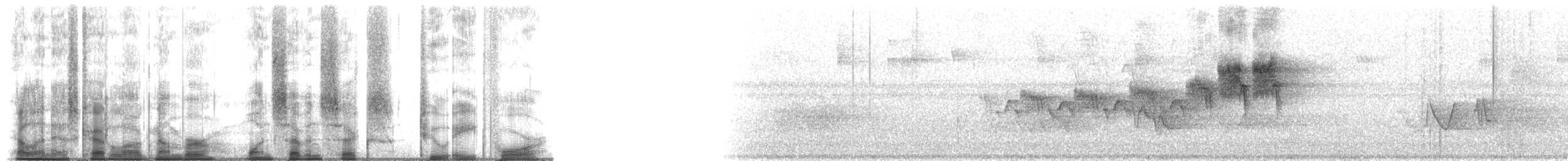 Paruline à collier - ML176284