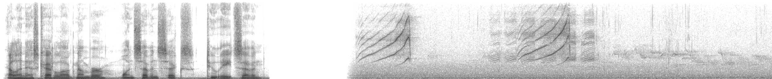 Canard branchu - ML176287