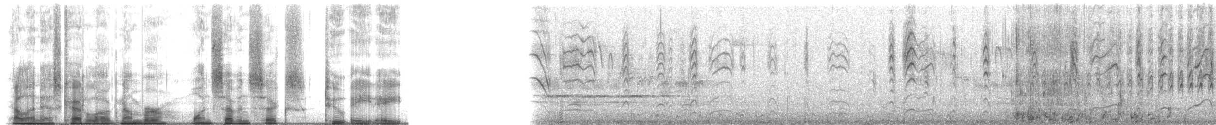 Canard branchu - ML176288