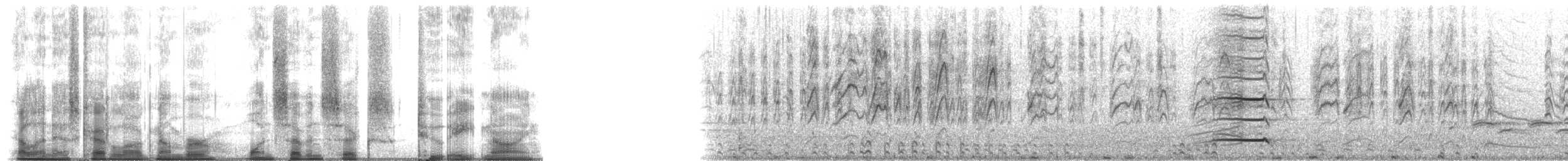 Canard branchu - ML176289