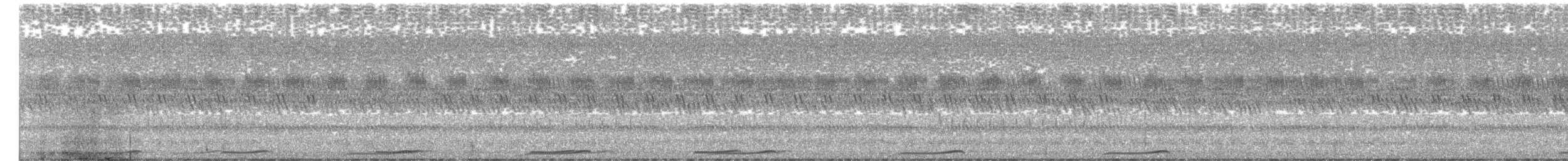 Сова-голконіг далекосхідна - ML176289501