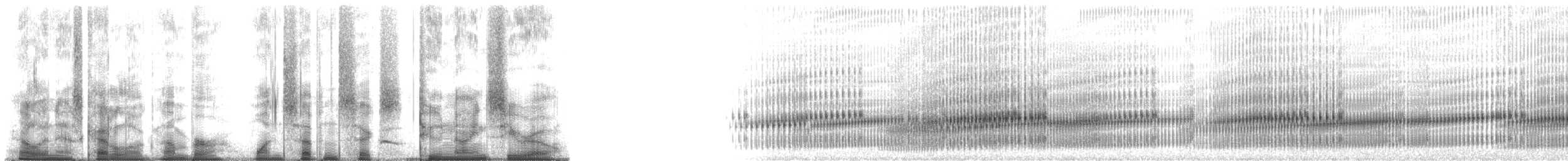 rainette faux-grillon de l'ouest - ML176290