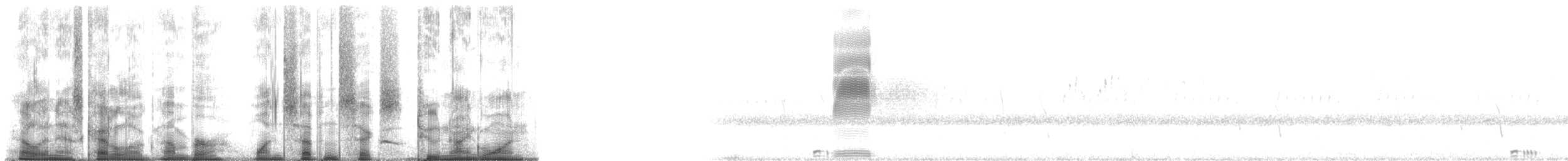 Bécasse d'Amérique - ML176291