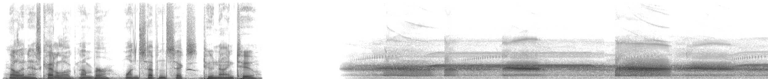 Eastern Spadefoot - ML176292