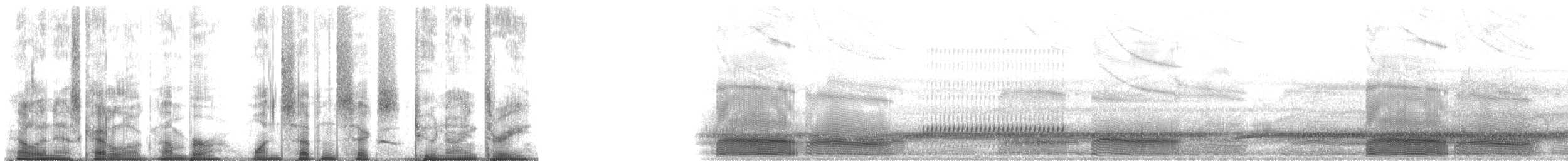 Eastern Spadefoot - ML176293