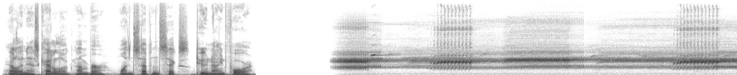 rainette versicolore - ML176294