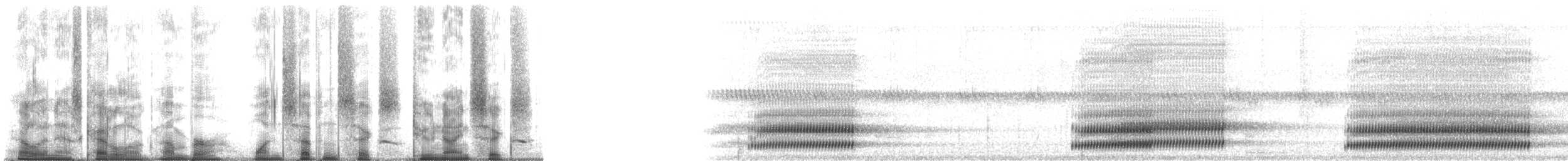 rainette criarde - ML176296