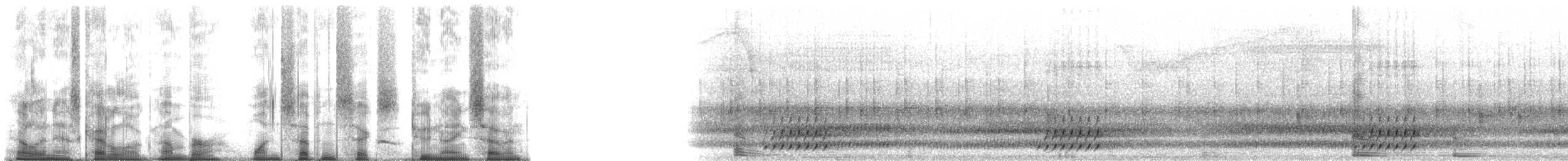 rainette versicolore - ML176297