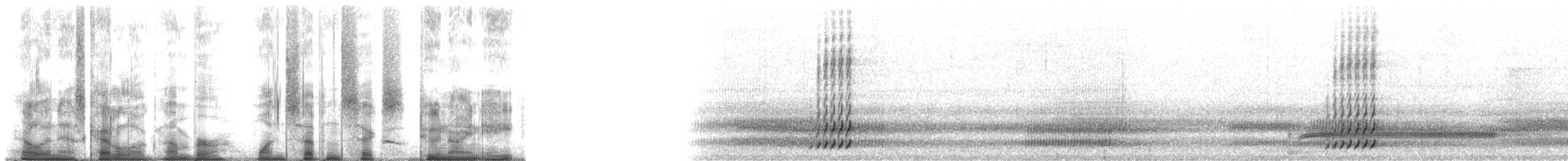 rainette versicolore - ML176298