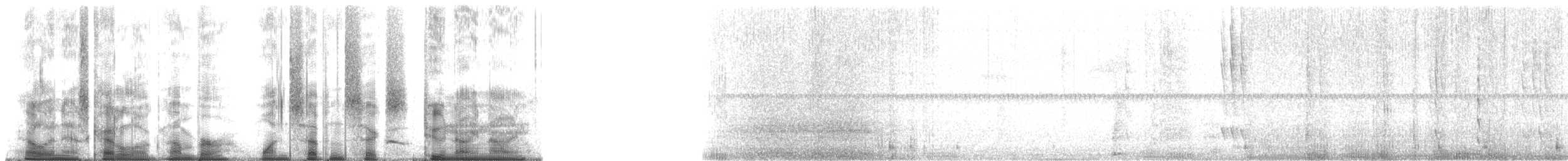 Colibri à gorge rubis - ML176299