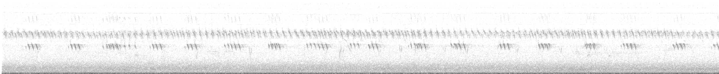 Bec-croisé des sapins (type 4) - ML176315001