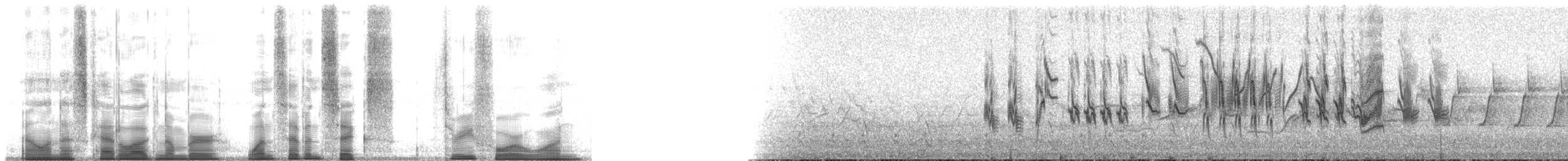 Sizerin flammé (exilipes) - ML176341