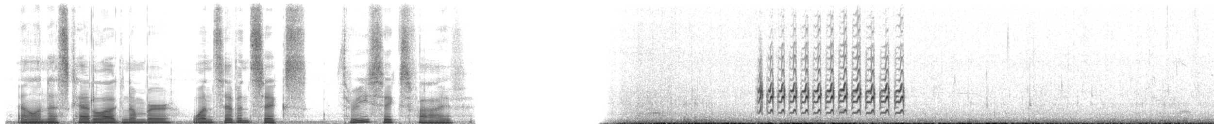 Побережник берингійський (підвид tschuktschorum) - ML176365