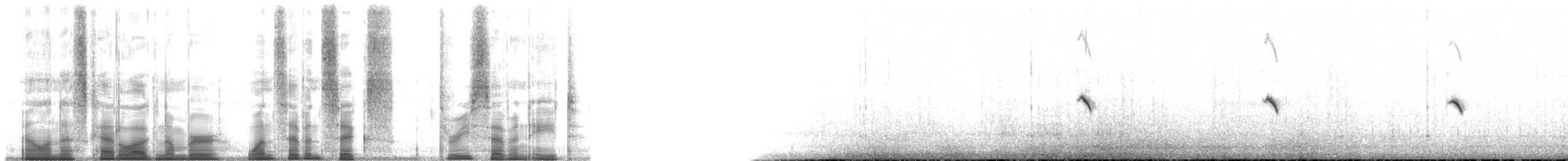 steinskvett (oenanthe/libanotica) - ML176378