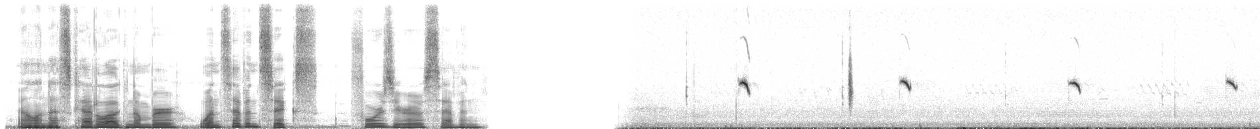 steinskvett (oenanthe/libanotica) - ML176407