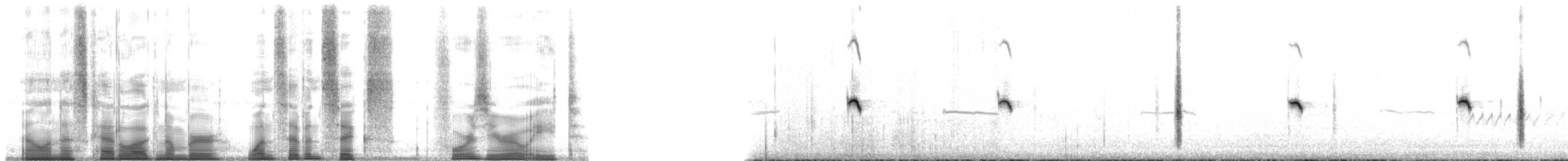 穗䳭(oenanthe/libanotica) - ML176408