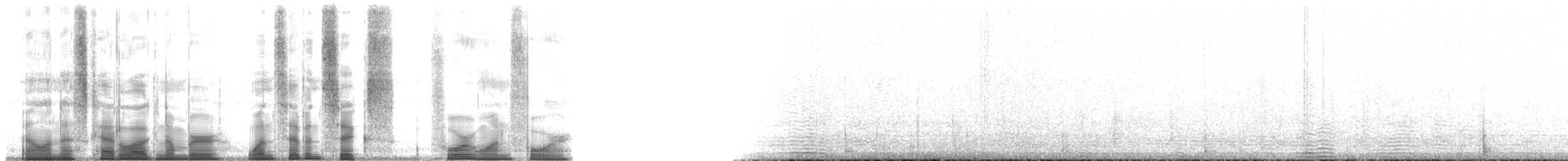 Берингийский песочник (tschuktschorum) - ML176414