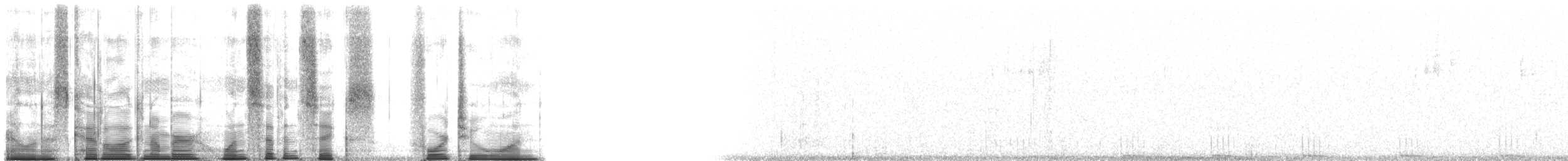 einerskrike (woodhouseii gr.) - ML176421