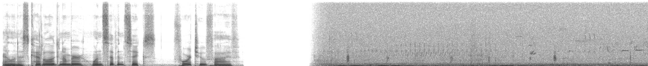 einerskrike (woodhouseii gr.) - ML176425