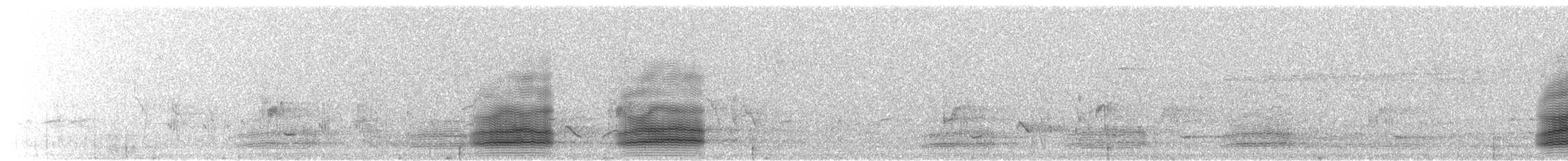 Тасманийский ворон - ML176437901