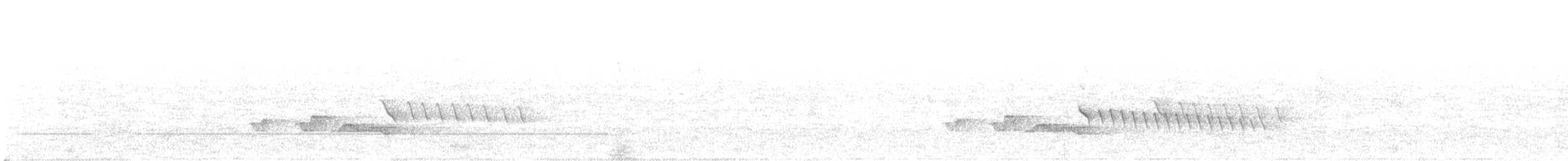 hvitskjegglattertrost - ML176460671
