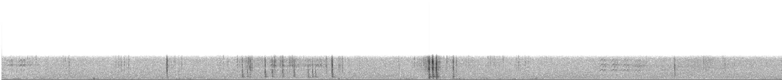 Sittelle à poitrine blanche (groupe lagunae) - ML176482721