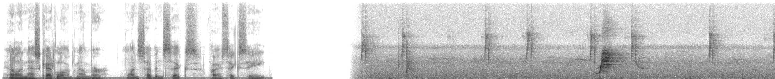 Ak Karınlı Tepeli Sinekkapan (albiventris) - ML176568