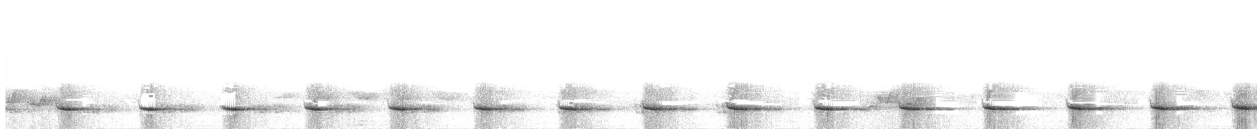 Davidbuschwachtel - ML176631811