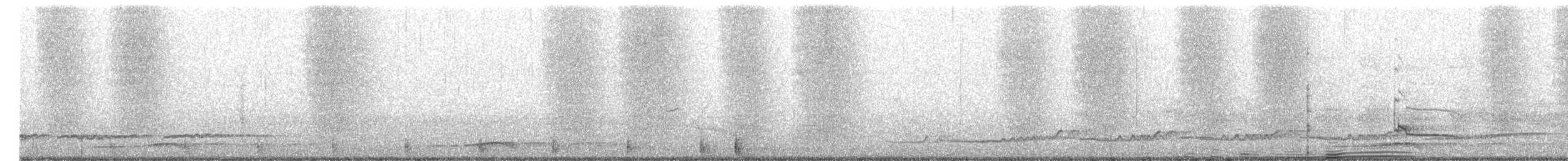 チュウシャクシギ（variegatus） - ML176633741