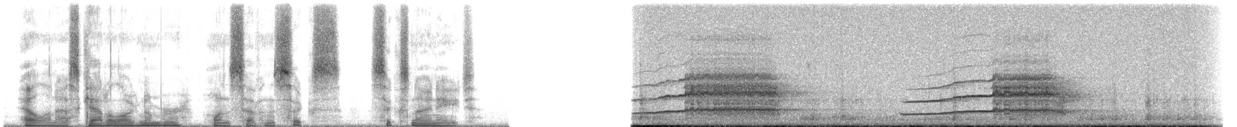 Northern Saw-whet Owl - ML176698